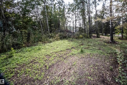 635-59201 Range Rd 95, Rural St. Paul County, AB - Outdoor