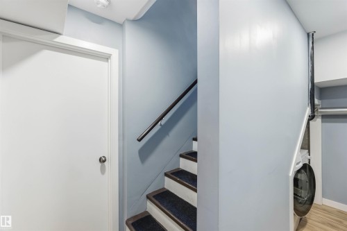 Staircase featuring dark tread carpeting, a dark wood handrail, and light blue wall paint - 6036 106 Street, Edmonton, AB - Indoor Photo Showing Laundry Room