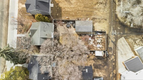 Property featuring a grey-shingled roof, mature trees, and a paved street - 6036 106 Street, Edmonton, AB - Outdoor