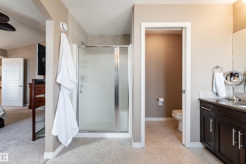 4206 Triomphe Point(E), Beaumont, AB - Indoor Photo Showing Bathroom