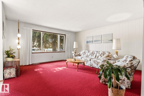 Living room featuring textured wall coverings, a large window providing ample natural light, and a vibrant red carpet - 10716 52 Avenue, Edmonton, AB - Indoor Photo Showing Living Room