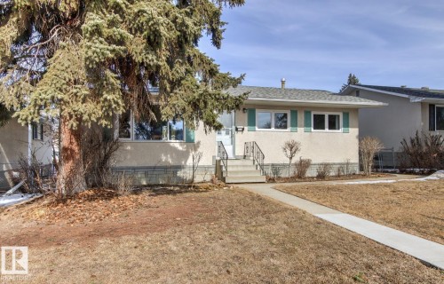 The property features a front yard with a concrete walkway leading to the entrance, a mature evergreen tree, and a stucco exterior with decorative shutters - 10716 52 Avenue, Edmonton, AB - Outdoor
