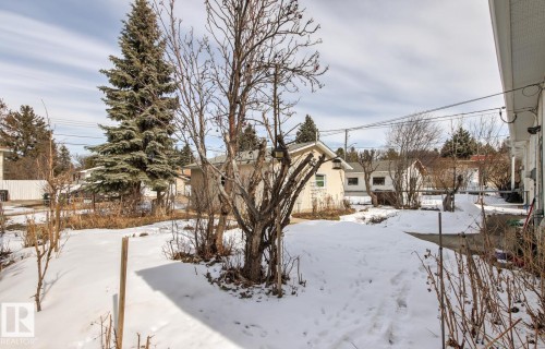The property features a yard with snow cover, mature trees, and landscaping elements - 10716 52 Avenue, Edmonton, AB - Outdoor