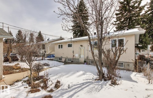 The property features a stucco exterior, a fenced yard, and several mature trees - 10716 52 Avenue, Edmonton, AB - Outdoor