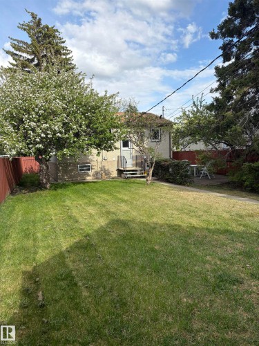 Expansive backyard featuring a lush lawn, mature trees, and a blooming fruit tree - 10916 151 Street, Edmonton, AB - Outdoor