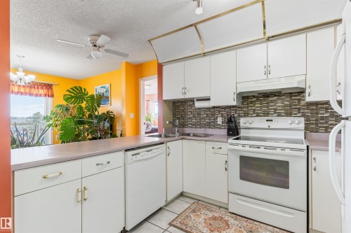 403 18020 95 Avenue, Edmonton, AB - Indoor Photo Showing Kitchen