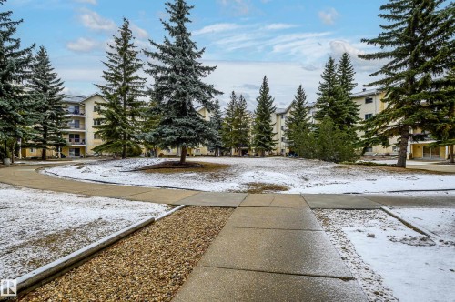 237 10636 120 Street, Edmonton, AB - Outdoor