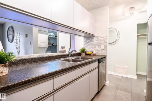 237 10636 120 Street, Edmonton, AB - Indoor Photo Showing Kitchen With Double Sink