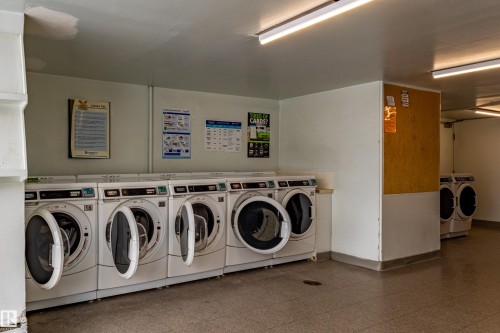 37 8745 165 Street, Edmonton, AB - Indoor Photo Showing Laundry Room
