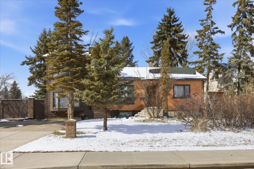The property features a brick exterior, a driveway, and a front yard with mature evergreen trees and some ground cover - 11026 110 Avenue, Edmonton, AB - Outdoor