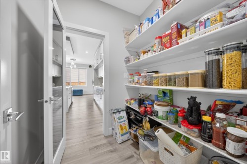 The property features a spacious pantry with extensive shelving, providing ample storage - 449 Roberts Crescent, Leduc, AB - Indoor With Storage