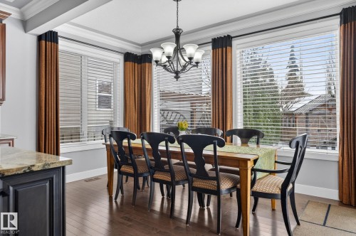 Dining area featuring wood flooring, a decorative chandelier, and large windows with blinds and curtains - 20719 51 Avenue, Edmonton, AB - Indoor Photo Showing Dining Room