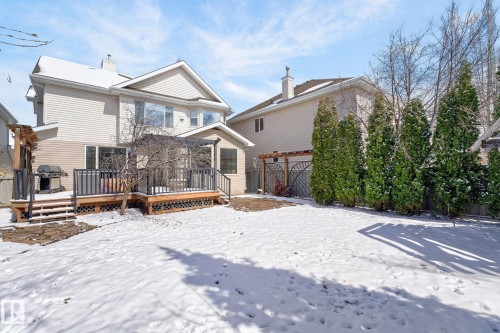 The property features a spacious backyard with a deck, a pergola, and mature evergreen trees - 20719 51 Avenue, Edmonton, AB - Outdoor