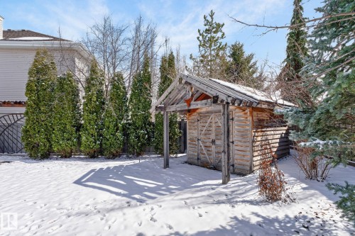 The property features a spacious yard with a wooden shed, mature evergreen trees, and a clear blue sky overhead - 20719 51 Avenue, Edmonton, AB - Outdoor