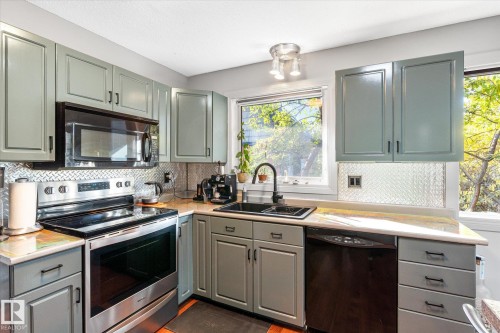 3018 110A Street, Edmonton, AB - Indoor Photo Showing Kitchen With Double Sink