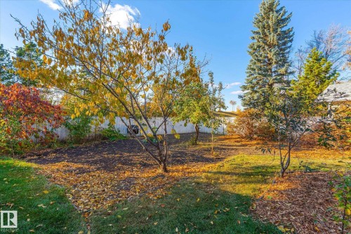 3018 110A Street, Edmonton, AB - Outdoor With View