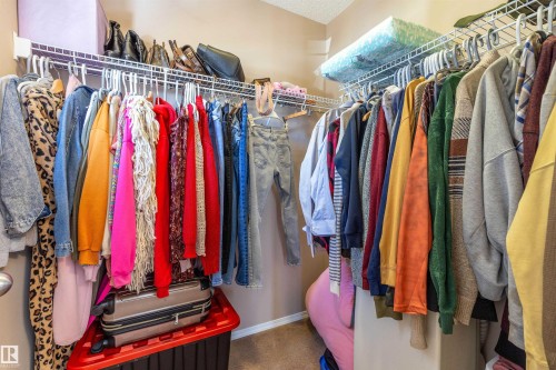 21313 60 Avenue, Edmonton, AB - Indoor With Storage