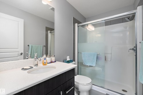 407 812 Welsh Drive, Edmonton, AB - Indoor Photo Showing Bathroom