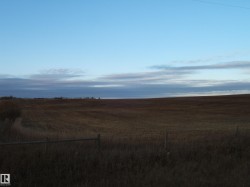 Image quality insufficient for description - 
