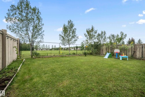324 79 Street, Edmonton, AB - Outdoor With Backyard