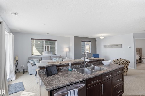 The kitchen features a double basin stainless steel sink with a high arc faucet, dark wood cabinetry, and a textured countertop - 115 6925 199 Street, Edmonton, AB - Indoor Photo Showing Kitchen With Double Sink