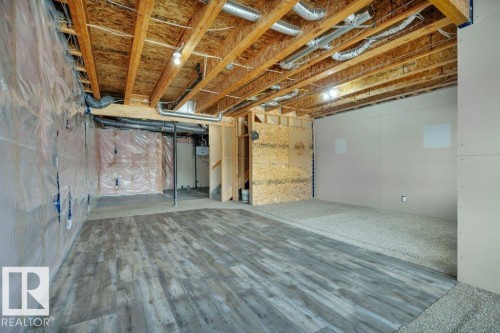 1909 Davidson Wynd, Edmonton, AB - Indoor Photo Showing Basement
