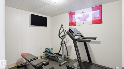 1310 Barnes Close, Edmonton, AB - Indoor Photo Showing Gym Room