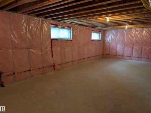 59 18230 104A Street, Edmonton, AB - Indoor Photo Showing Basement