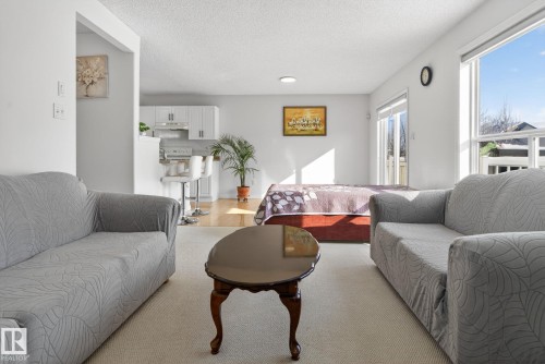 The interior features light-colored walls and carpeting, creating a bright and open atmosphere - 421 84 Street, Edmonton, AB - Indoor Photo Showing Living Room
