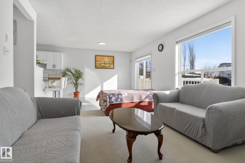 Living area featuring large windows providing natural light, carpeted flooring, and a sliding glass door - 421 84 Street, Edmonton, AB - Indoor Photo Showing Living Room