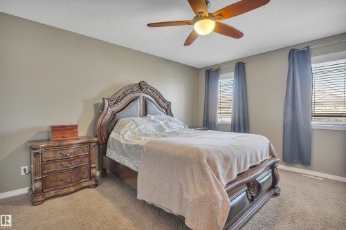 This room features a ceiling fan with integrated lighting, two windows with blinds and blue curtains, and wall-to-wall carpeting - 316 Avena Link, Leduc, AB - Indoor Photo Showing Bedroom