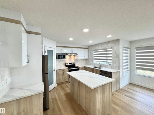 2908 44A Avenue, Edmonton, AB - Indoor Photo Showing Kitchen With Double Sink