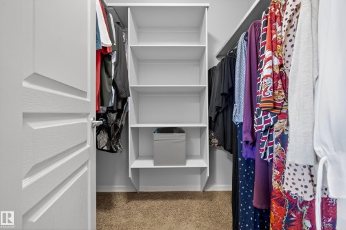 The property includes a walk-in closet featuring built-in shelving, hanging rods, and carpeted flooring - 20714 56A Avenue, Edmonton, AB - Indoor With Storage