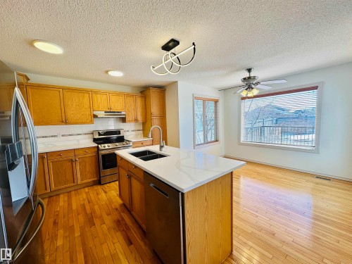 4811 152 Avenue, Edmonton, AB - Indoor Photo Showing Kitchen With Double Sink