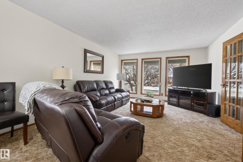 9912 162 Avenue, Edmonton, AB - Indoor Photo Showing Living Room