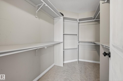 9808 162 Street, Edmonton, AB - Indoor With Storage