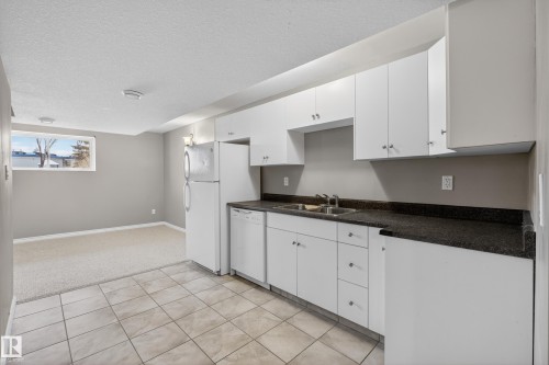 9808 162 Street, Edmonton, AB - Indoor Photo Showing Kitchen With Double Sink