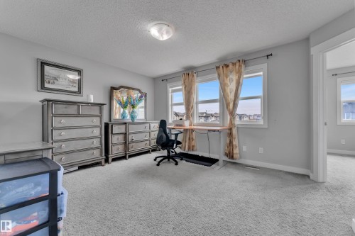 The room features light gray walls and plush gray carpeting - 1452 30 Street, Edmonton, AB - Indoor