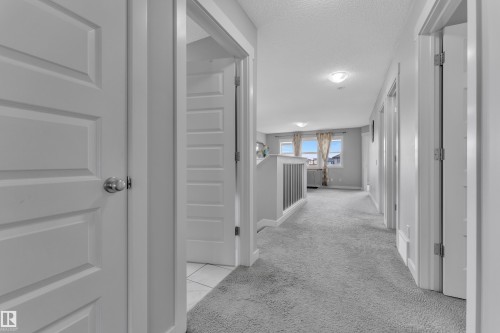 Hallway featuring light gray carpeting, white paneled doors, and a ceiling light fixture - 1452 30 Street, Edmonton, AB - Indoor Photo Showing Other Room