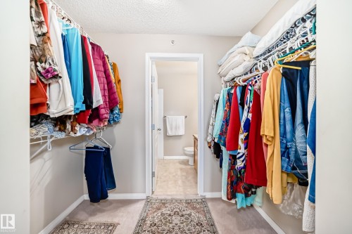 The property features a walk-in closet with carpeted flooring and white wire shelving, providing ample storage - 324 9525 162 Avenue Nw, Edmonton, AB - Indoor With Storage