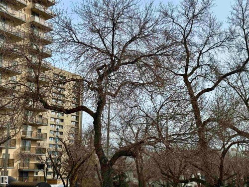 10346A 121 Street, Edmonton, AB - Outdoor