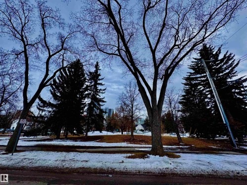 10346A 121 Street, Edmonton, AB - Outdoor With View