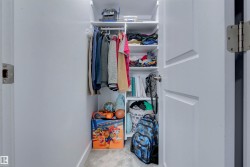 Closet featuring built-in shelving, a hanging rod, and light-colored carpeting - 