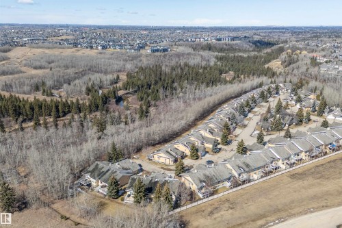 Aerial view of the property's community, featuring townhouses with private decks, surrounded by mature trees and natural landscapes - 14 920 119 Street, Edmonton, AB - Outdoor With View