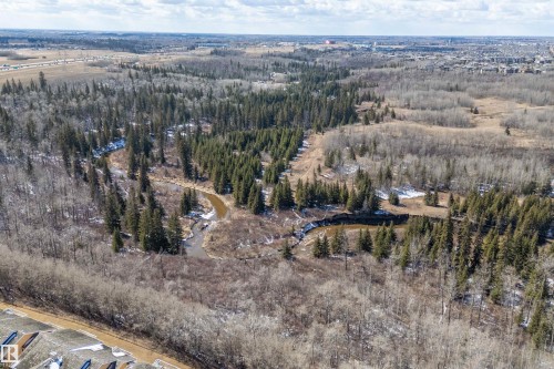 Overhead view showcasing a winding river through a wooded area, surrounded by diverse tree cover - 14 920 119 Street, Edmonton, AB - Outdoor With View
