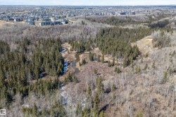 Expansive natural landscape featuring dense evergreen and deciduous trees, with a winding stream visible through the terrain - 