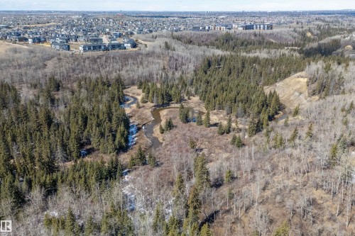 Expansive natural landscape featuring dense evergreen and deciduous trees, with a winding stream visible through the terrain - 14 920 119 Street, Edmonton, AB - Outdoor With View