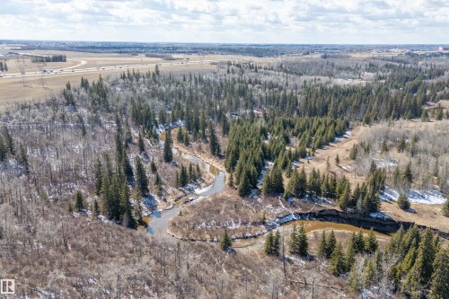 The property offers expansive natural surroundings with a winding river and dense tree cover - 14 920 119 Street, Edmonton, AB - Outdoor With View