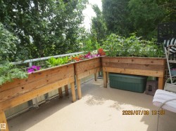 Outdoor patio featuring multiple raised wooden garden beds with various plantings - 