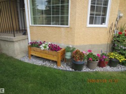 Manicured lawn area with a decorative planter box filled with colorful annuals - 